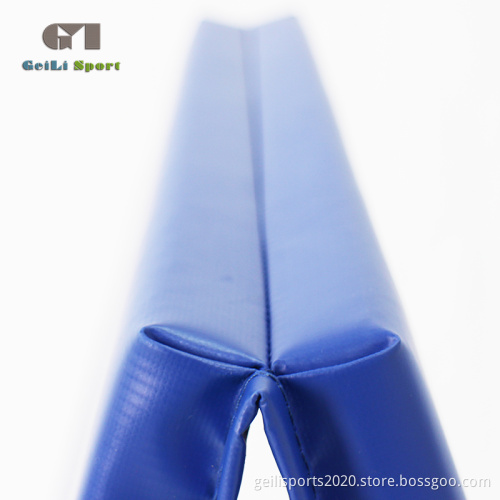 Blue Soft Thick Gym Mat For Kids Training